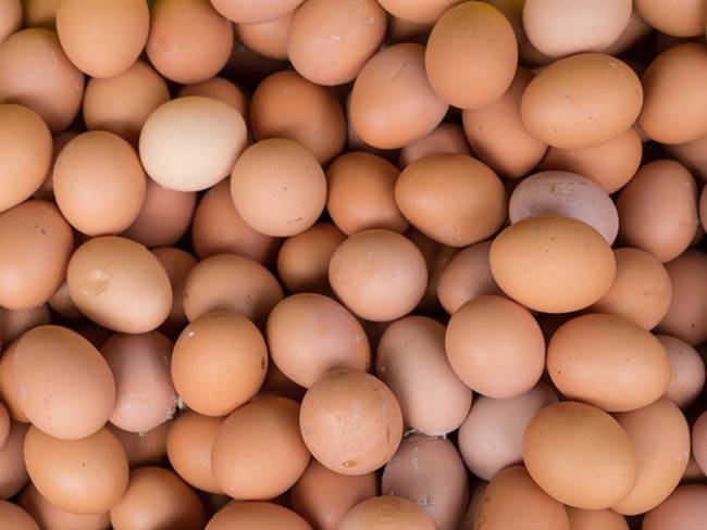 Donación de huevos para niños. Foto: Getty Images