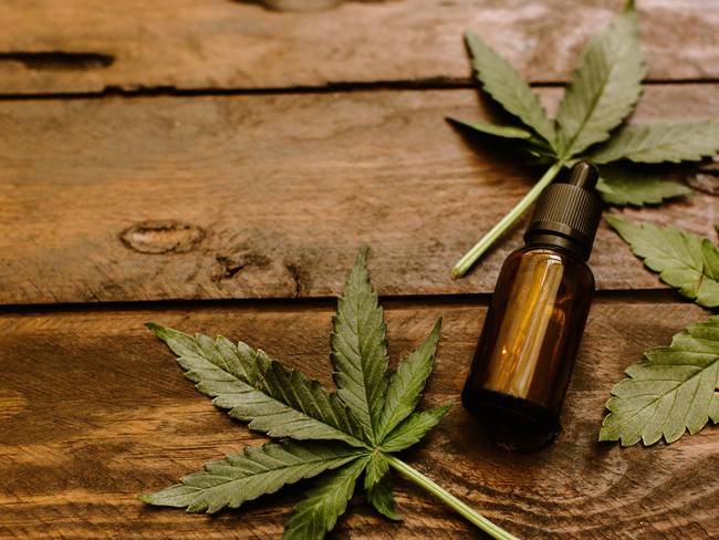 ¿Es viable legalizar la venta de cannabis sin licencia? Responden los empresarios