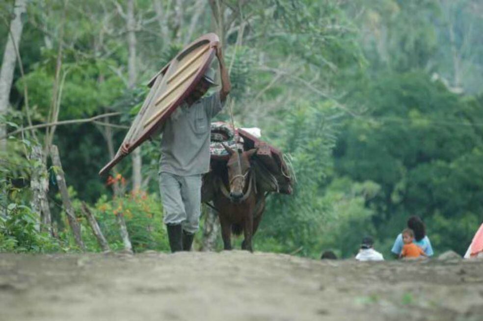 Sigue creciendo el confinamiento y desplazamiento en Colombia: van más de 30.000 víctimas