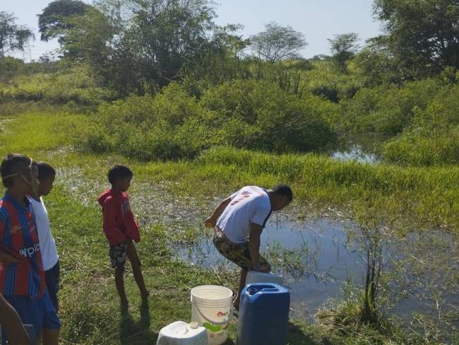 Jagüey donde sacan agua los niños de Salaminita / Cortesía 