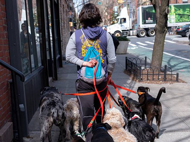 Wakypet, aplicación que conecta clientes con paseadores de perros . Foto: Getty Images