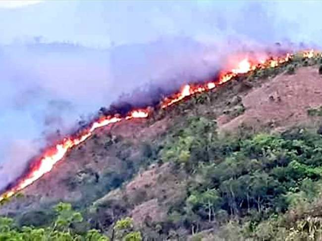 Grave incendio afecta la zona rural de Honda, Tolima. Foto: pedromanosalvar/Twitter