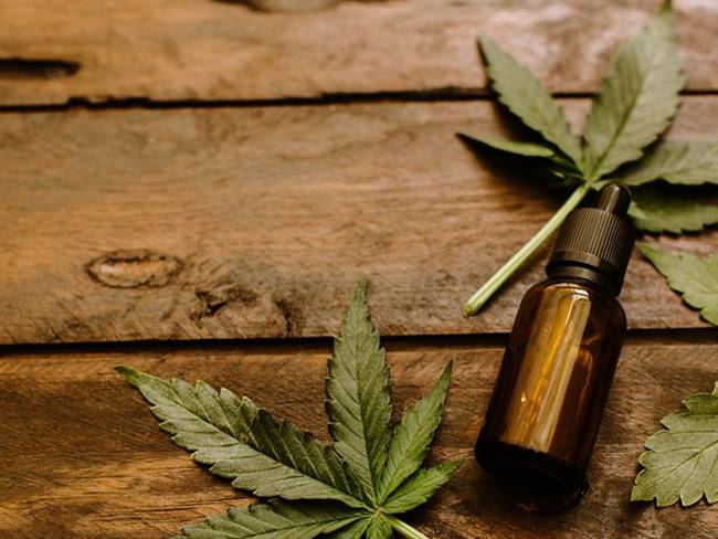 Modificación del Decreto 613 (que permitirá o no exportar flor seca de cannabis medicinal) debe estar lista en un mes, dice Asocolcanna. Foto: Getty Images / VICTORIA BEE PHOTOGRAPHY