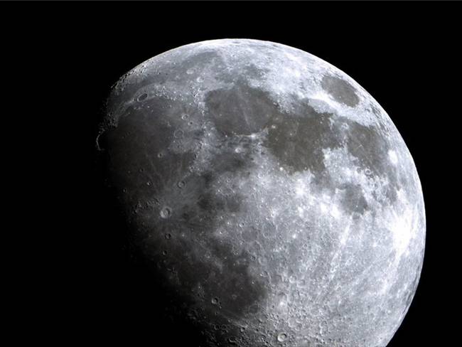 Científicos proponen enviar &quot;Arca de Noé&quot; a la Luna para salvaguardar las especies. Foto: Getty Images