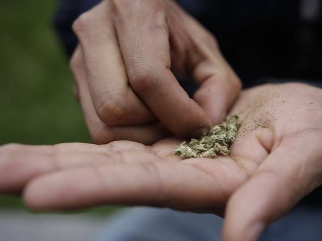 Legalización de la marihuana en Colombia. Foto: Colprensa