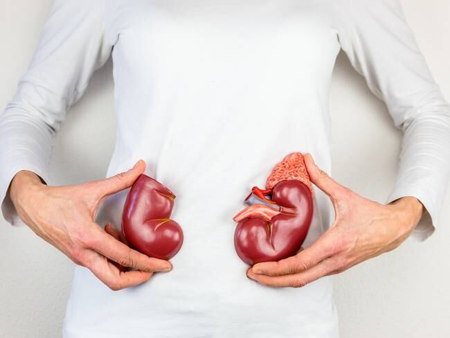 Imagen de referencia de donación de órganos. Foto: Getty Images