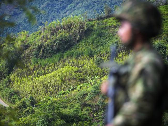 Aún no se tiene claridad sobre muerte de cocaleros en Nariño. Foto: Getty Images