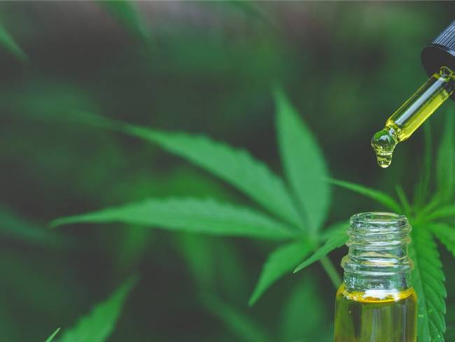Compuesto de Cannabis se muestran prometedores como tratamiento para COVID-19. Foto: Getty Images
