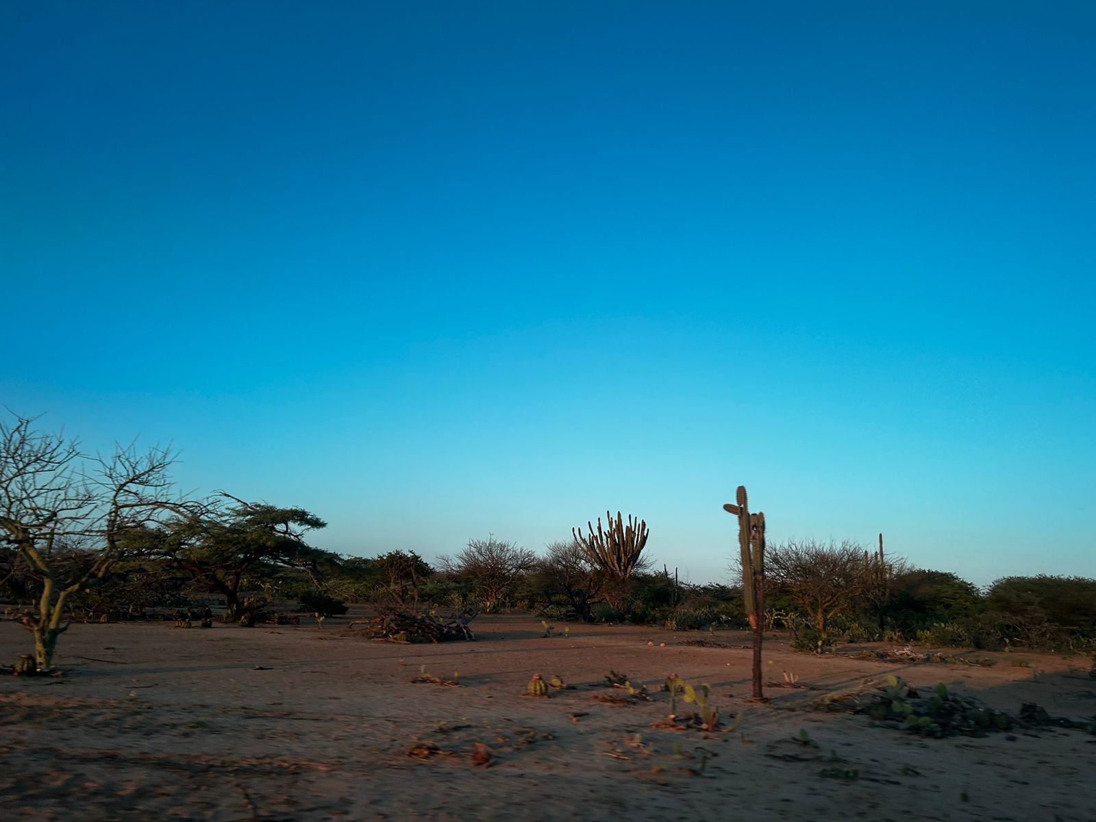 Con poemas, comunidad de Yotojoroshi en La Guajira celebró “la llegada del agua”