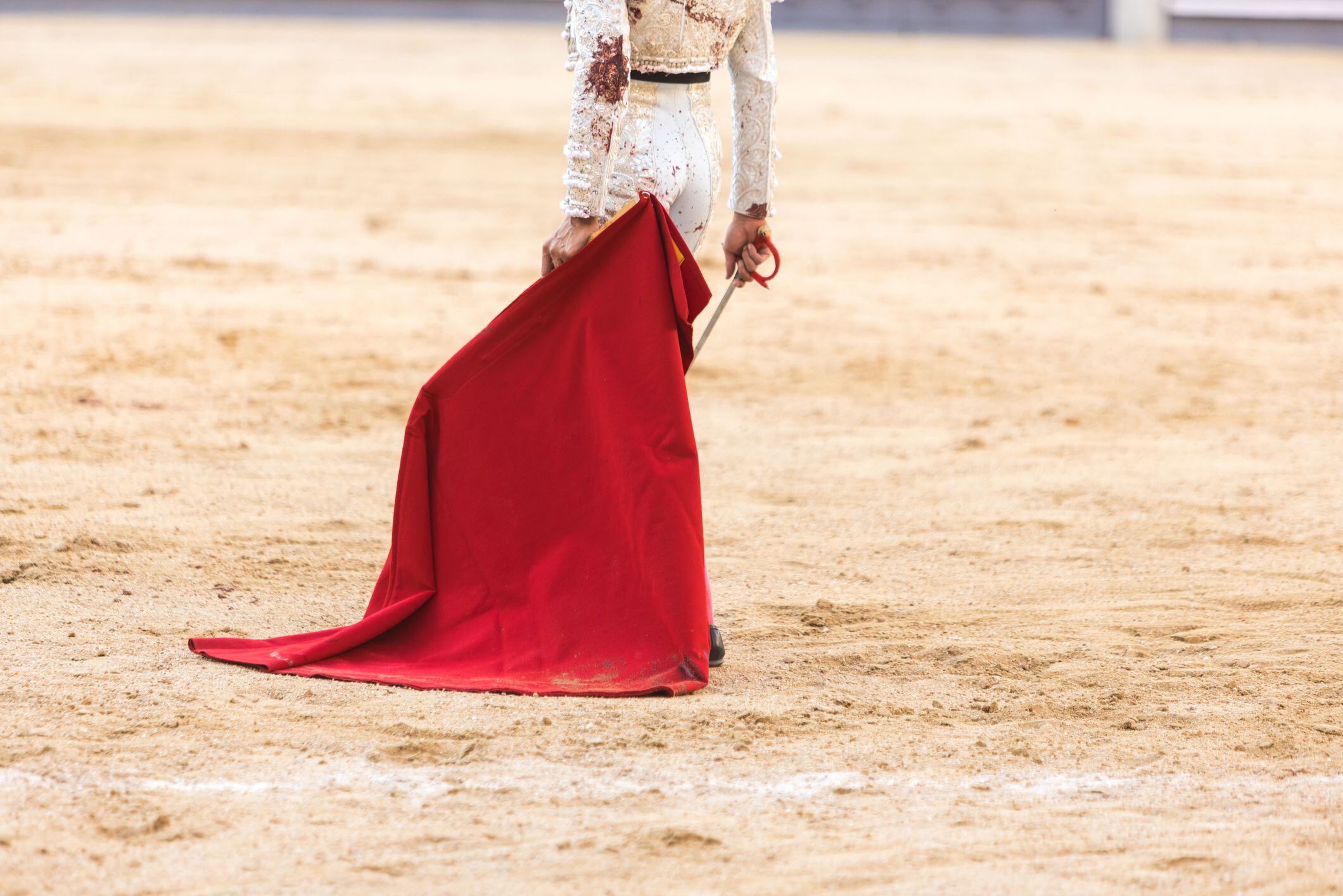 Juan Pablo Correa, el torero colombiano que se destaca en la Feria de San Isidro en Madrid