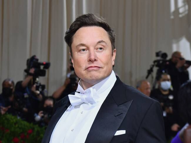 Elon Musk. (Photo by ANGELA WEISS/AFP via Getty Images)