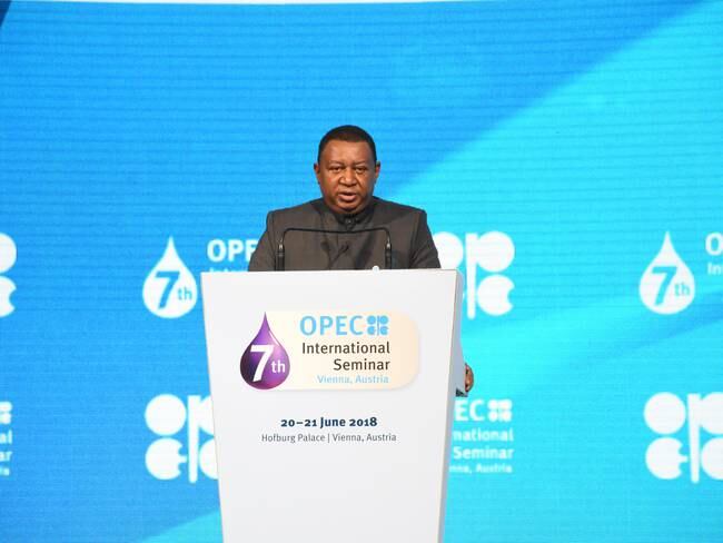 Mohammed Barkindo, secretario general de la OPEP. (Photo by Askin Kiyagan/Anadolu Agency/Getty Images)