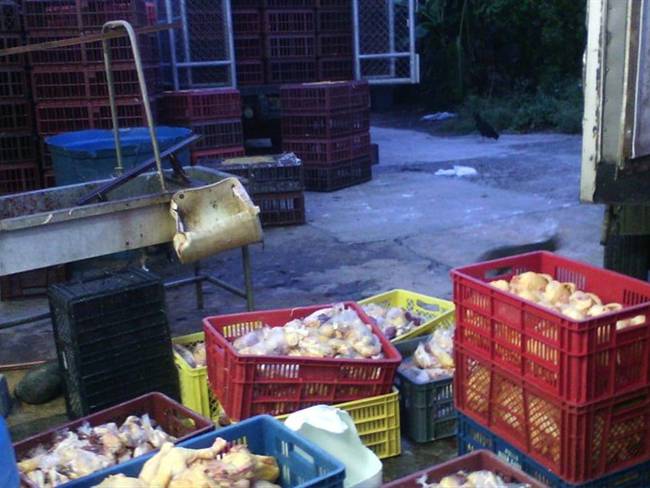 Autoridades lograron la incautación de 7.700 kilos de queso y 1.000 kilos de carne. Foto: Colprensa