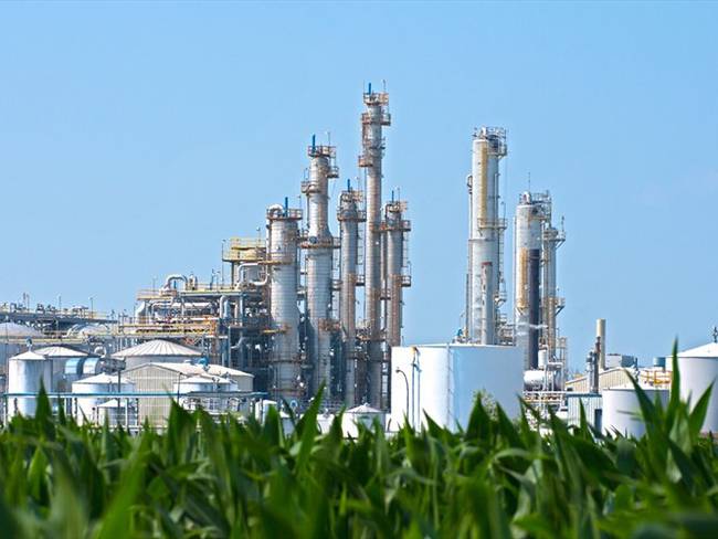 Bioenergy entró a proceso de liquidación el pasado mes de junio. Foto: Getty Images