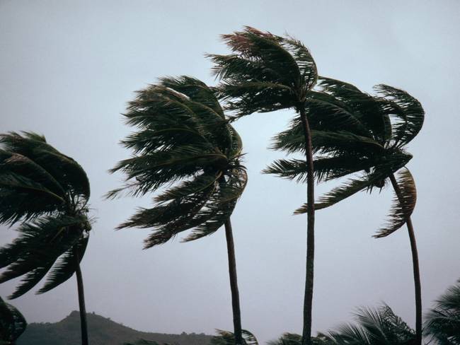 22 viviendas en San Andrés resultaron afectadas tras el paso de la tormenta Bonnie