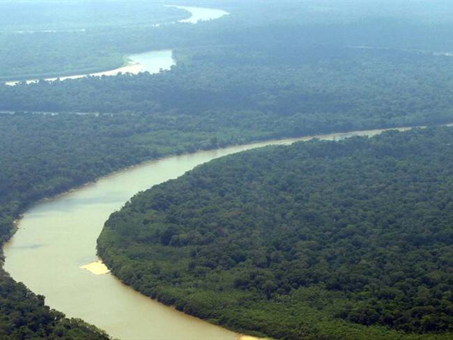 La Expedición Guaviare 2021 analizó y registró especies en el río Guaviare. Foto: Colprensa