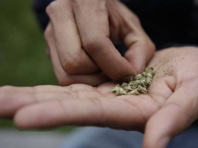 Colombia tiene todo para crear un mercado legal del cannabis: Juan Carlos Losada