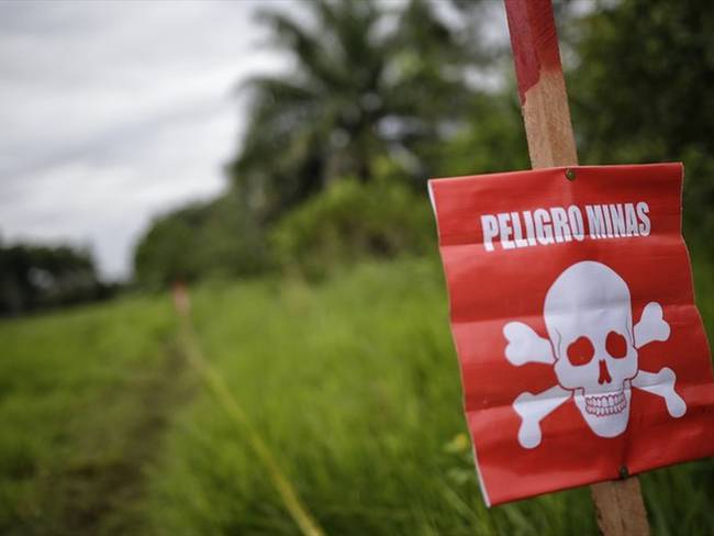 Un total de 378 personas han sido víctimas de minas antipersonal y otros artefactos explosivos. Foto: Colprensa / SERGIO ACERO