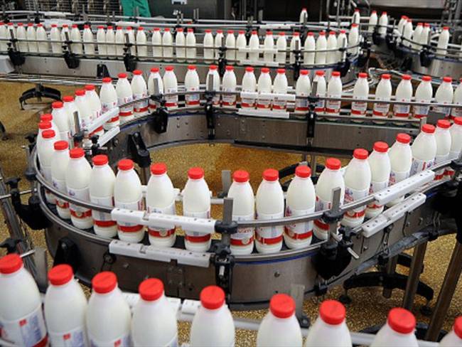 Por brotes de fiebre aftosa, México suspendió exportaciones de lácteos de Colombia. Foto: Getty Images