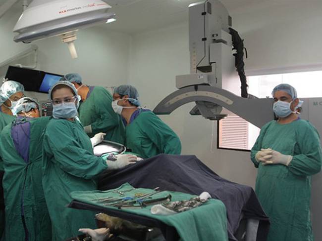 Médicos residentes en especializaciones quirúrgicas se les pagarán tres salarios mínimos. . Foto: Colprensa