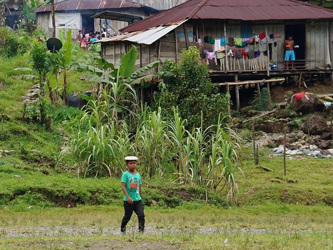 Ordenan la restitución de miles de hectáreas de tierra a familias afrodescendientes en Chocó / imagen de referencia. Foto: Colprensa