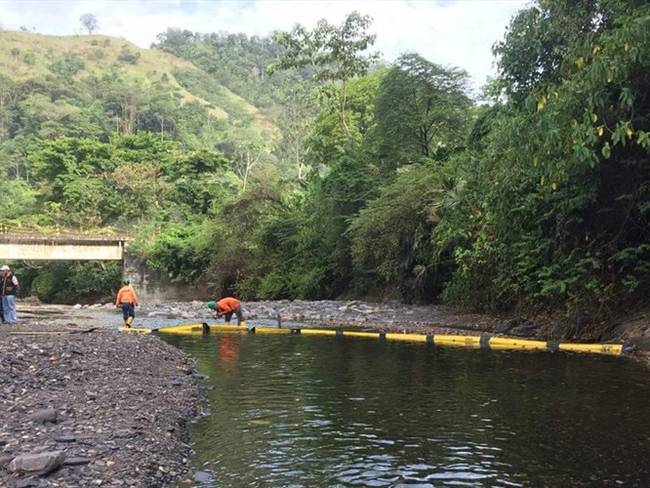 Este 10 de agosto se analizará cómo avanza la recuperación ambiental de la Serranía Las Quinchas. Foto: Alcaldía de Puerto Boyacá