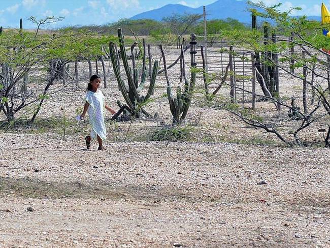 Lina Arbelaez, habló sobre las dos niñas de 17 y 24 meses que fallecieron en el departamento de la Guajira aparentemente por desnutrición.. Foto: Getty Images