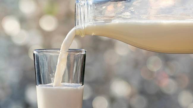 El doctor Mahsid Dehghan aseguró que la leche entera puede tener componentes beneficiosos para la salud y que recomienda el consumo de tres productos lácteos al día.. Foto: Getty Images