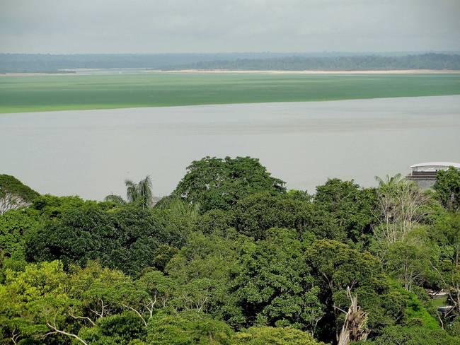 AME309. MANAOS (BRASIL), 24/10/2023.- Fotografía de archivo fechada el 2 de diciembre de 2010 que muestra una panorámica de selva y río desde Manaos, Amazonas (Brasil). La expansión de las actividades mineras en la cuenca del río Amazonas amenaza a más del 33% de los bosques húmedos tropicales inalterados de la región, que se extiende por ocho países, según un informe divulgado este martes. EFE/ Marianna Wachelke /ARCHIVO