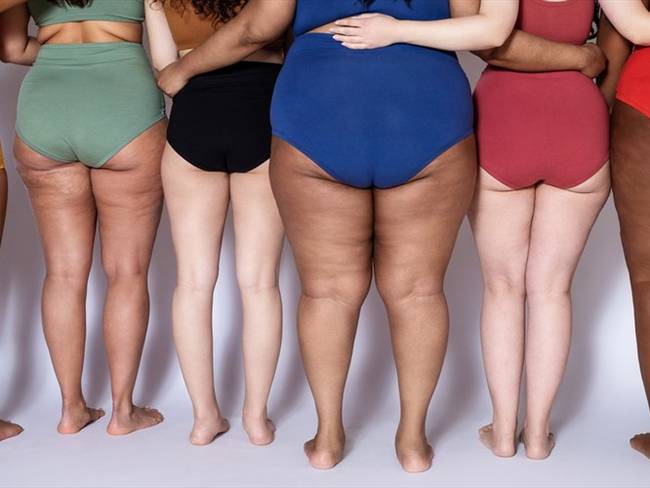 Llega la segunda edición del reality para mujeres de talla grande.. Foto: Getty Images