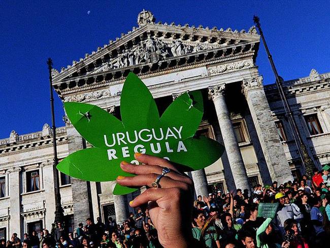 En Uruguay planean abrir gradualmente el mercado de cannabis a los turistas