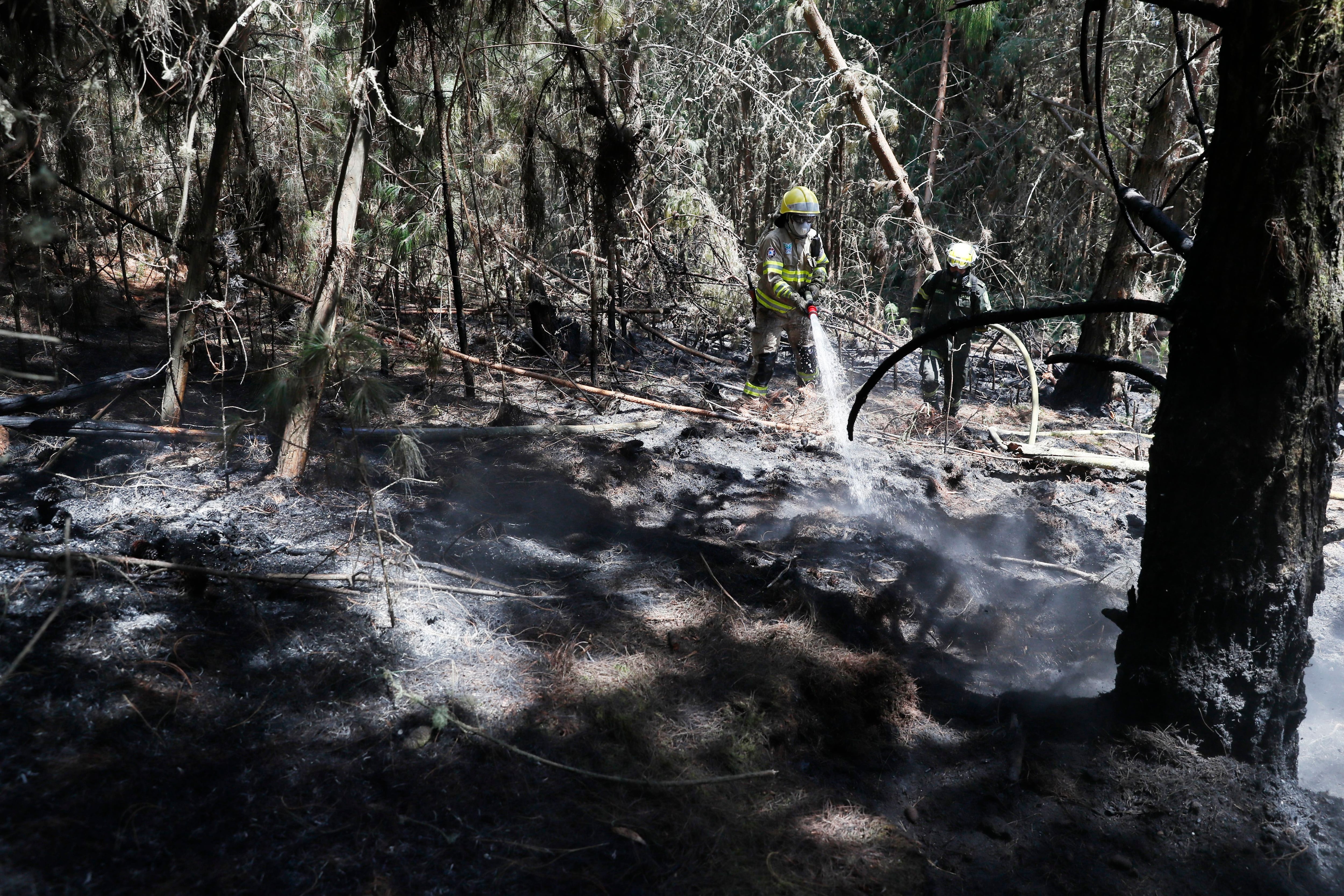 En Cundinamarca incendios forestales han consumido 1.327 hectáreas de bosque