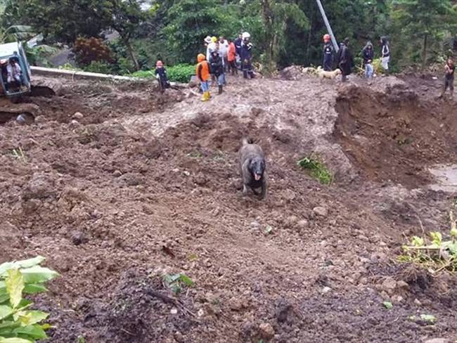 Deslizamiento en Rosas, Cauca. Foto: Invías.
