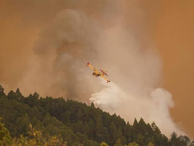 Incendios forestales en Tenerife, España. Foto: EFE.