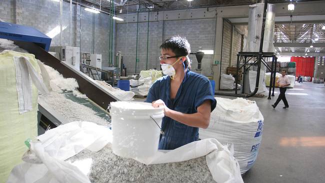 Enka, líder del reciclaje de botellas, finalizó proceso de reestructuración. Foto: Colprensa