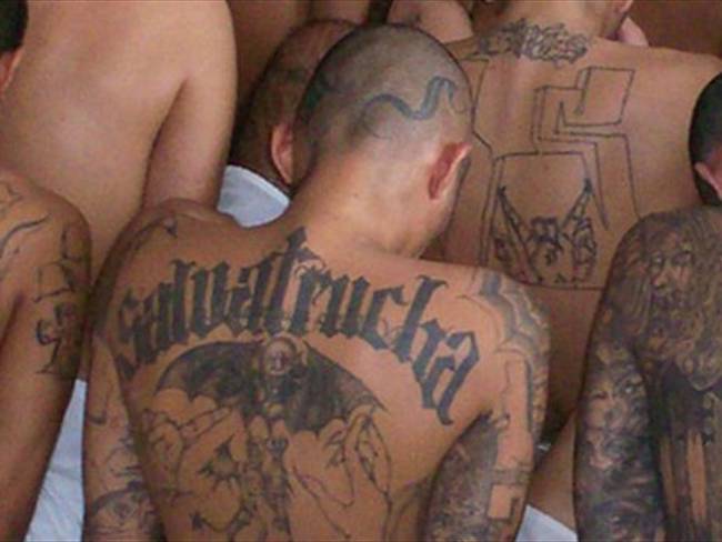 Arrestan a más de 230 miembros de la pandilla MS13 en EEUU y El Salvador. Foto: Agencia Anadolu