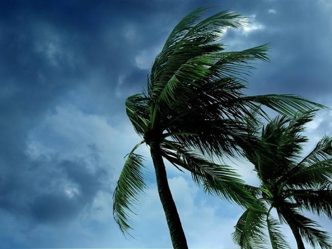 Nosotros estamos haciendo nuestra parte, pero queremos que las personas se preparen: Daniel Llargués sobre huracán Dorian. Foto: Getty Images