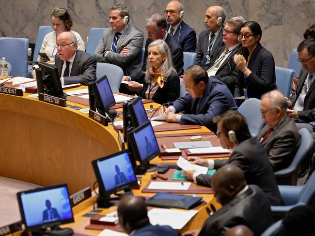 Consejo de la ONU amplía mandato de la Misión de Verificación al proceso de  paz