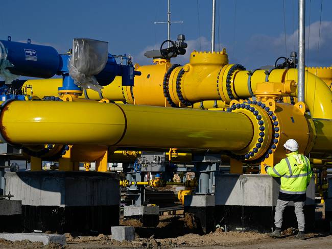 Japón asegura que no tiene la intención de retirarse de un proyecto de gas con Rusia