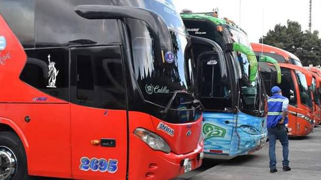 Buses. Foto: Ministerio de Transporte