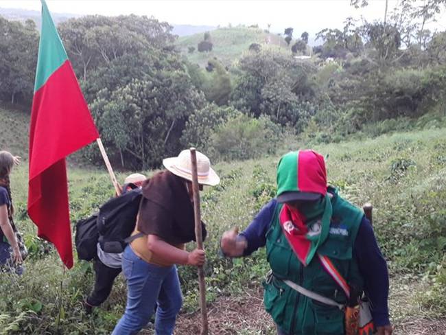 Las comunidades indígenas afirmaron que continuarán con sus labores de erradicación de cultivos de uso ilícito . Foto: Cortesía