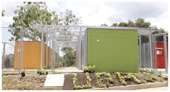 Animales muertos guardados en un congelador no recibieron atención especializada en la UBA