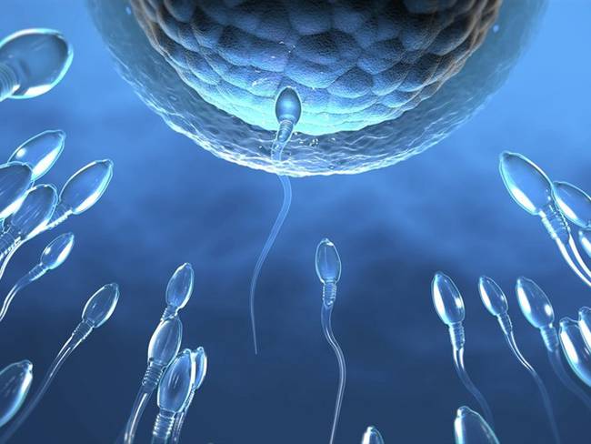 La contaminación del aire podría afectar la cantidad de espermatozoides. Foto: Getty Images/Westend61