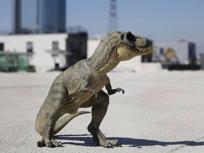 Cómo usar los dinosaurios de realidad aumentada de Google?