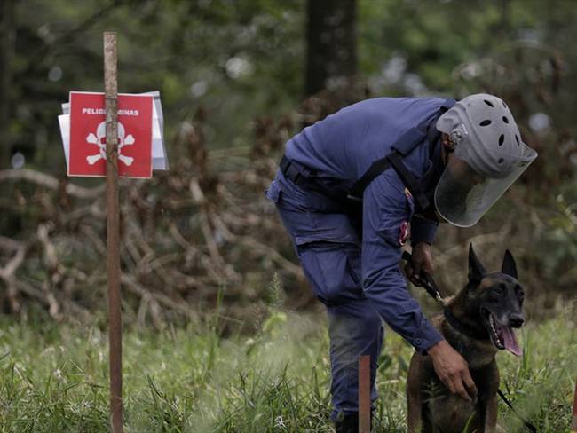 Desarrollan un dispositivo para detectar minas antipersonal