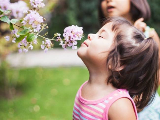 ¿Qué tanto influyen los olores al momento de recordar?. Foto: Getty Images