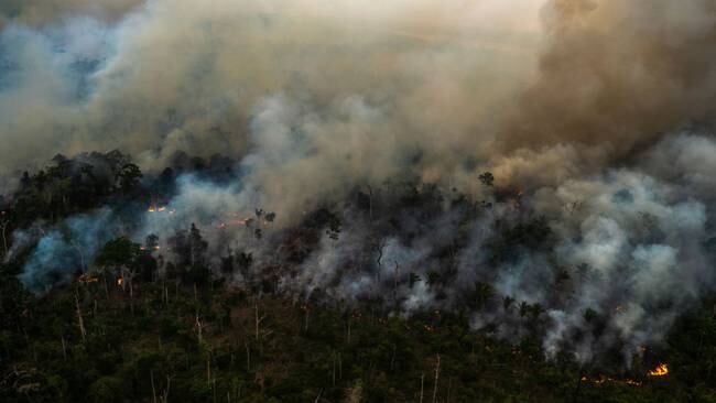 Los incendios en Colombia emiten gases de efecto invernadero al nivel industrial de China. Foto: Getty Images