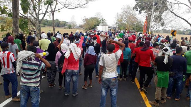 Campesinos anuncian protesta para exigir cumplimiento del acuerdo de paz. Foto: cortesía. 