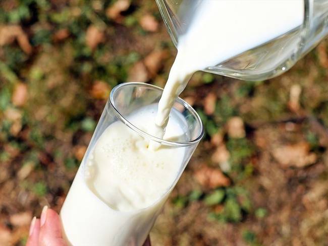 Juan Pablo Pineda, viceministro de Agricultura, advirtió que el 50% de la producción de la leche en Colombia es informal. Foto: Pixabay