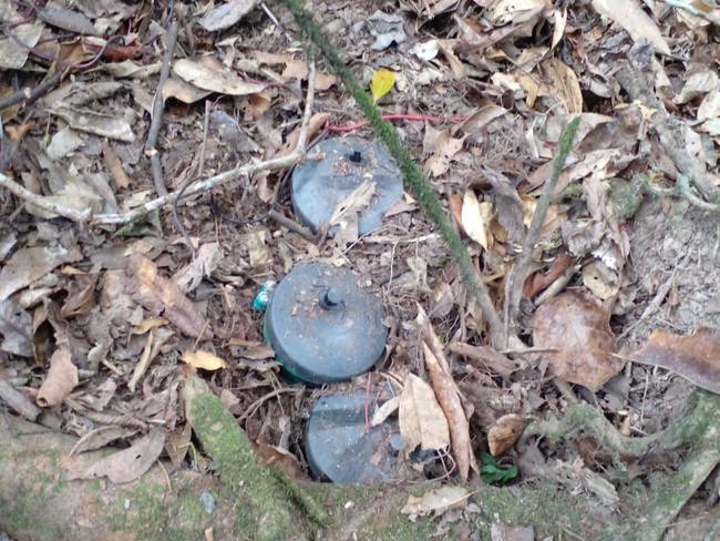 295 minas destruidas por el Ejército Nacional. Crédito: Colprensa.